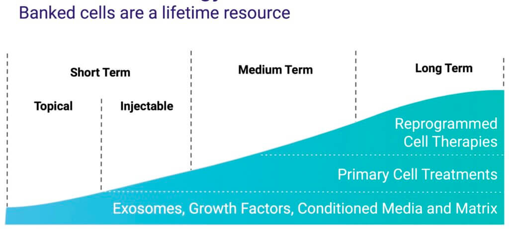 Hair Follicle Stem Cell Banking Hair Follicle Stem Cells As A Lifetime Resource